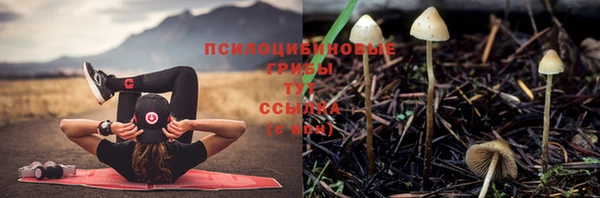 a pvp Гусиноозёрск