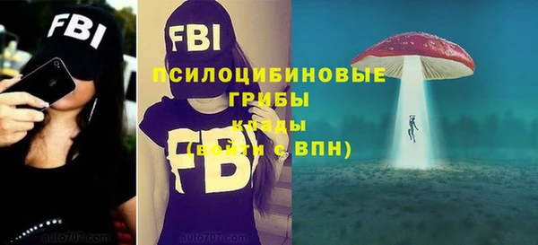 a pvp Гусиноозёрск