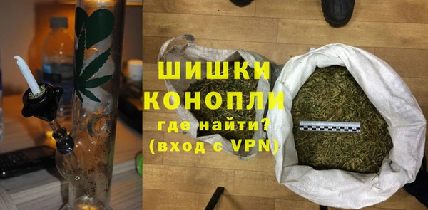 дмт Дмитров