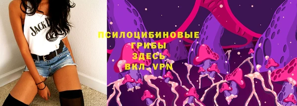мескалин Гусев